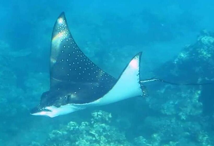 هتل Mohéli Vanilla Lodge