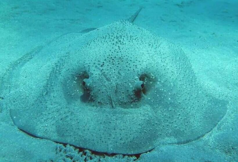 هتل Mohéli Vanilla Lodge