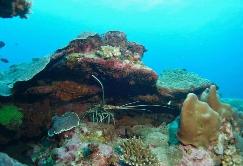 هتل Mohéli Vanilla Lodge