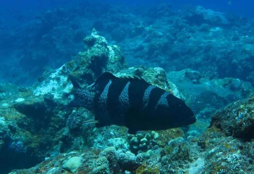 هتل Mohéli Vanilla Lodge