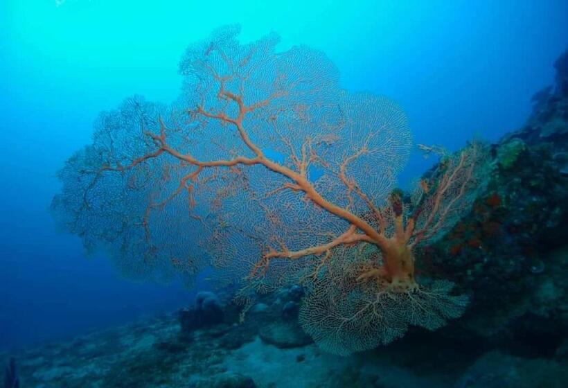 هتل Mohéli Vanilla Lodge