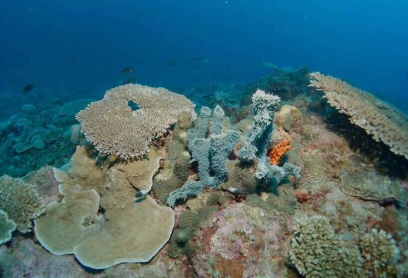 هتل Mohéli Vanilla Lodge