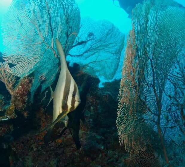 هتل Mohéli Vanilla Lodge