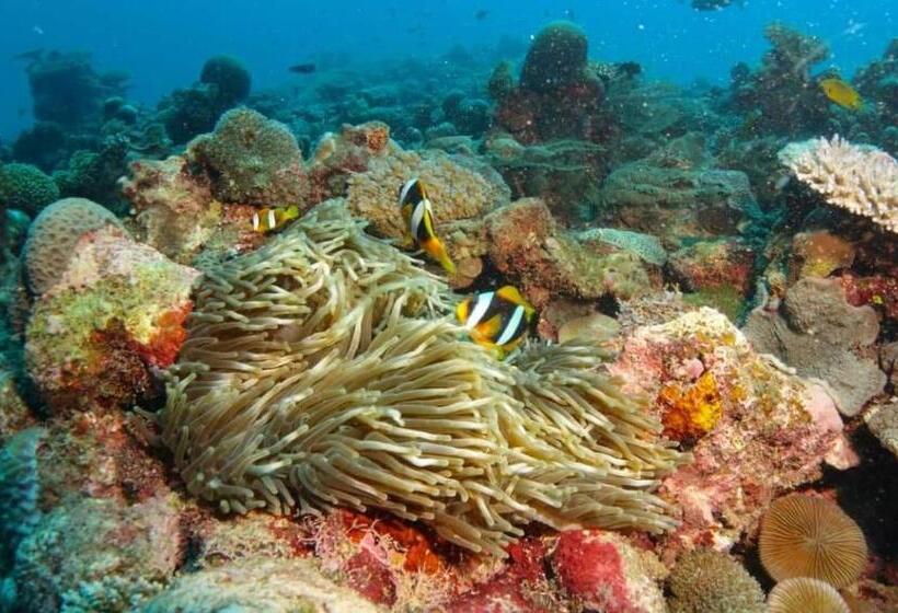 هتل Mohéli Vanilla Lodge