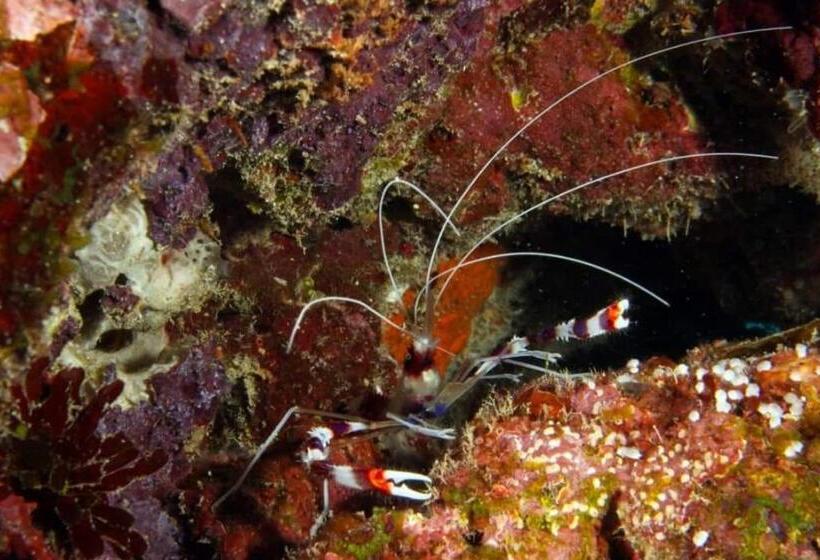 هتل Mohéli Vanilla Lodge