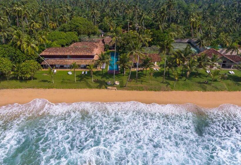 Hotel The Frangipani Tree By Edwards Collection