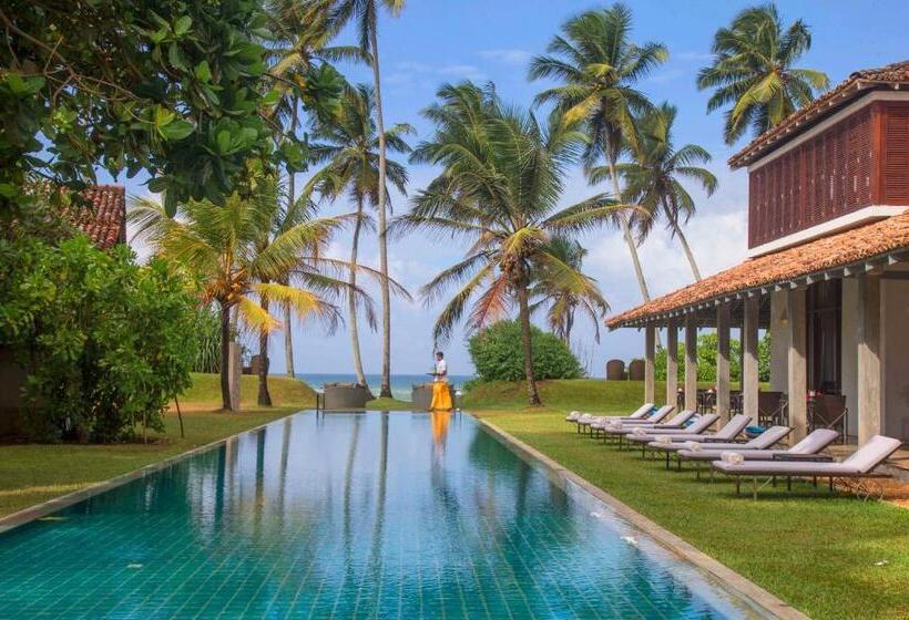 Hotel The Frangipani Tree By Edwards Collection