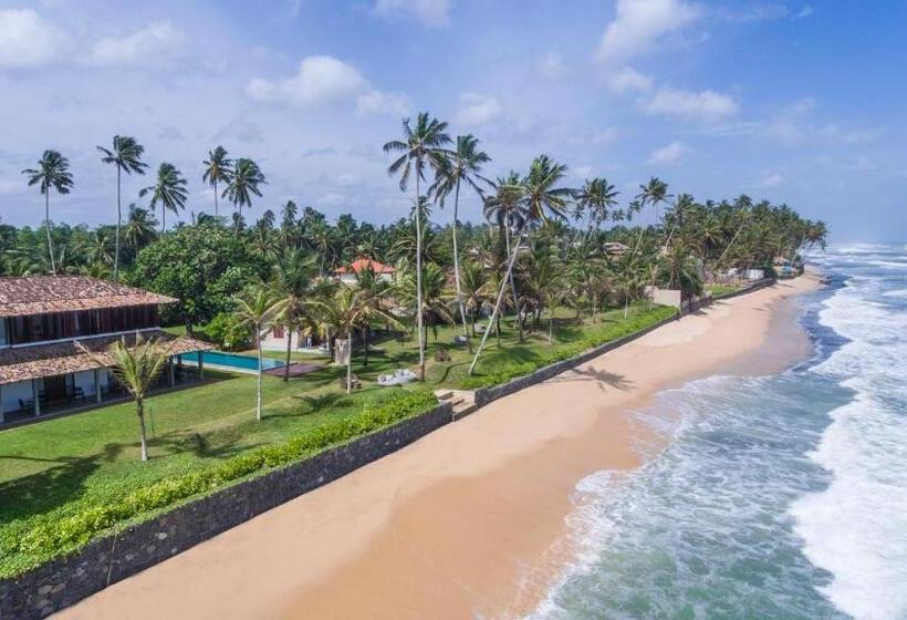 Hotel The Frangipani Tree By Edwards Collection