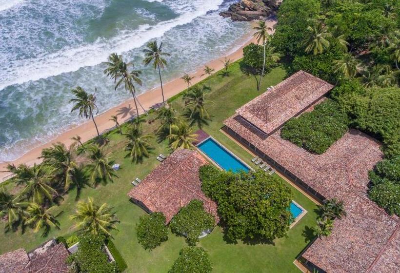 Hotel The Frangipani Tree By Edwards Collection