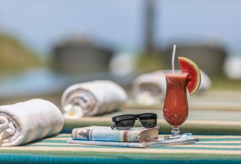 Hotel The Frangipani Tree By Edwards Collection