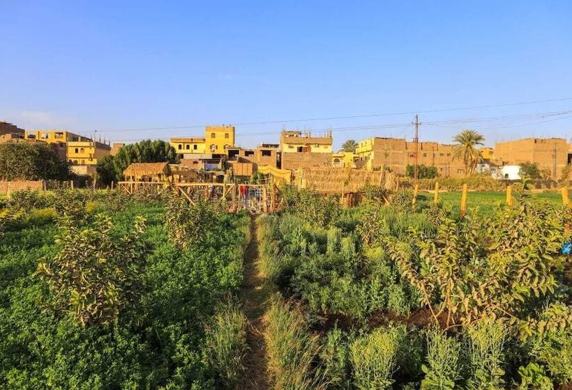 مُتل Bedouin Lodge Luxor