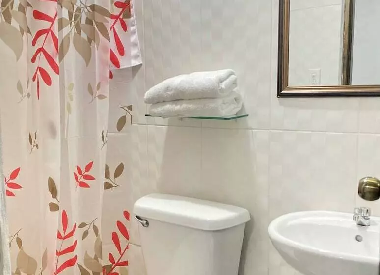 ペンション Residencial Lassonde Guest House