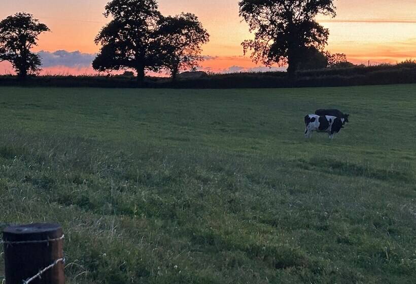 Shepherdhut/retreat/north Devon/firepit/ Exmoor