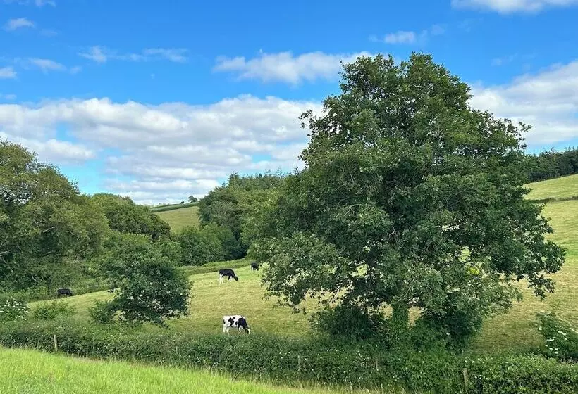 Shepherdhut/retreat/north Devon/firepit/ Exmoor