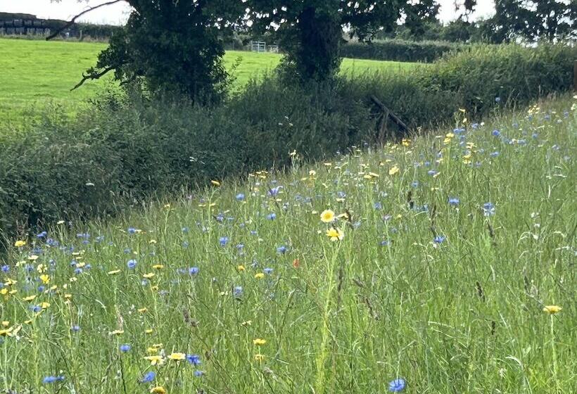 Shepherdhut/retreat/north Devon/firepit/ Exmoor