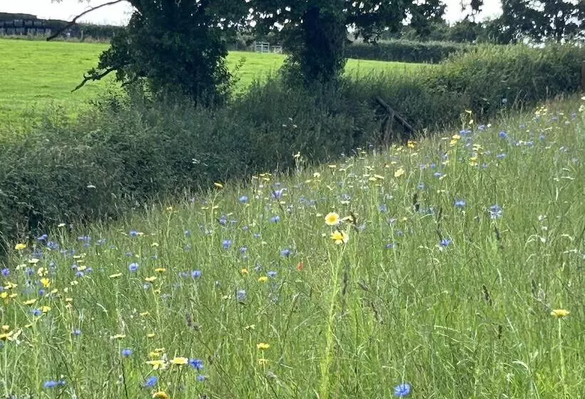 Shepherdhut/retreat/north Devon/firepit/ Exmoor