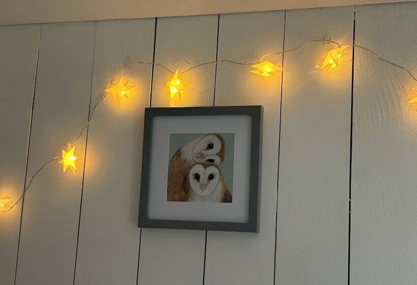 Shepherdhut/retreat/north Devon/firepit/ Exmoor