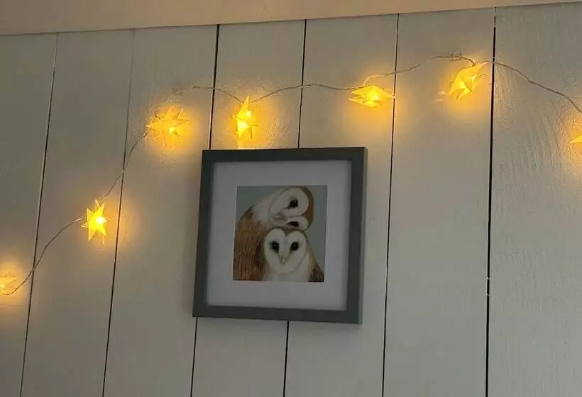Shepherdhut/retreat/north Devon/firepit/ Exmoor