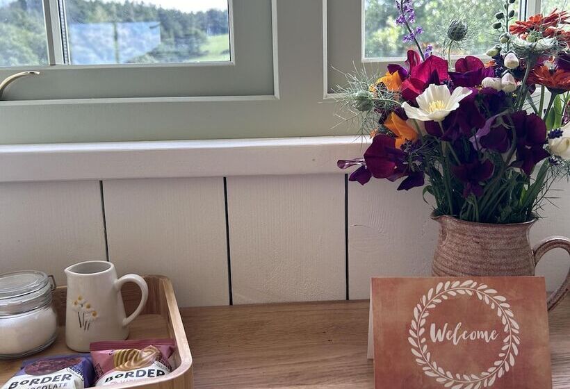 Shepherdhut/retreat/north Devon/firepit/ Exmoor