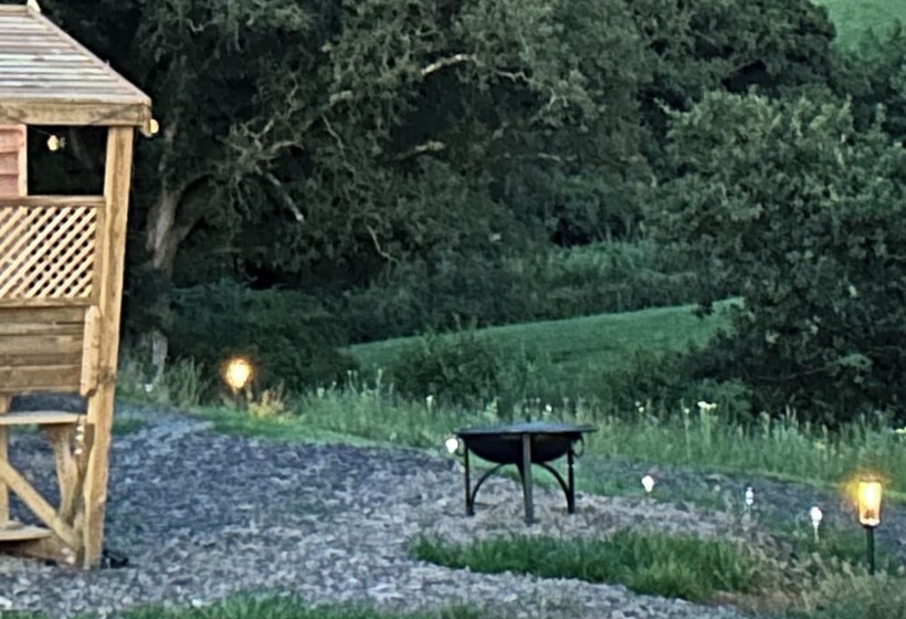 Shepherdhut/retreat/north Devon/firepit/ Exmoor