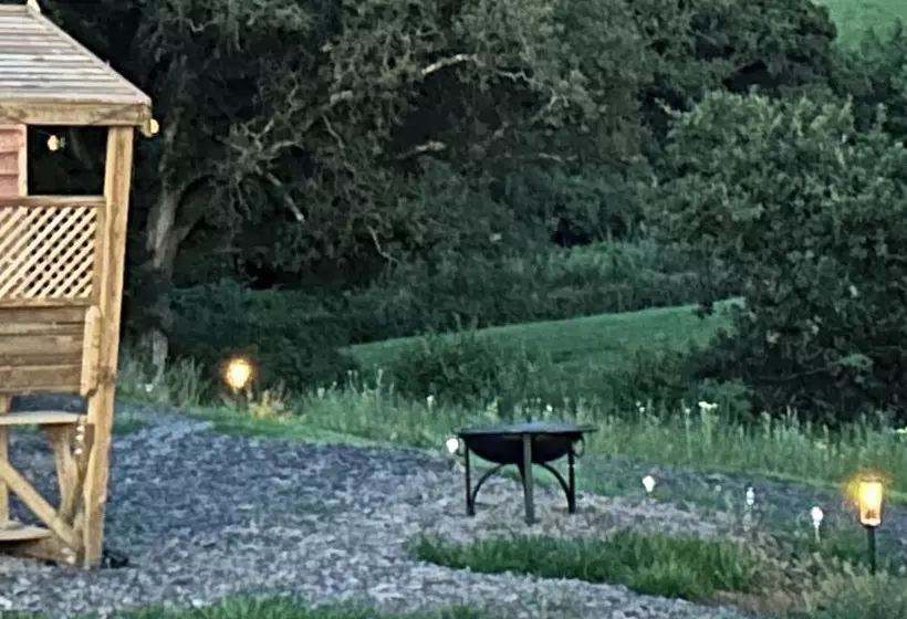 Shepherdhut/retreat/north Devon/firepit/ Exmoor
