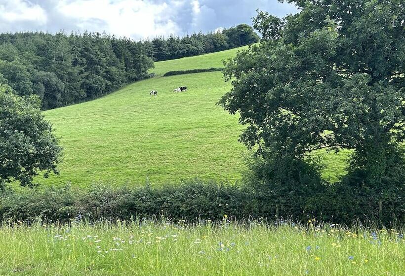 Shepherdhut/retreat/north Devon/firepit/ Exmoor