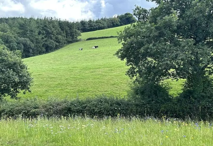 Shepherdhut/retreat/north Devon/firepit/ Exmoor