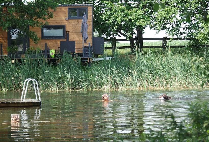 Tinyhousebeidresden1 Direkt Am Badeteich