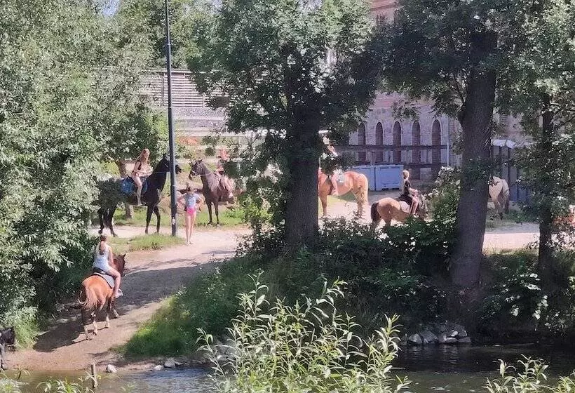 Tinyhousebeidresden1 Direkt Am Badeteich