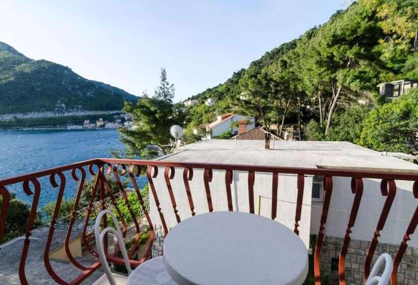 펜션 Guest House Sobra 38