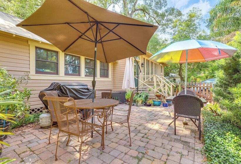 Pet Friendly Tampa Home In Walkable Neighborhood!