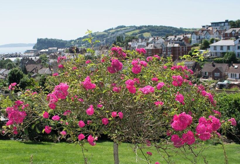 مبيت وإفطار Woodlands Teignmouth