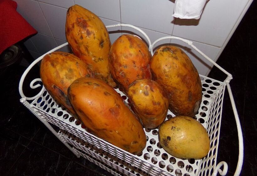 مسافرخانه Casa Yaneva