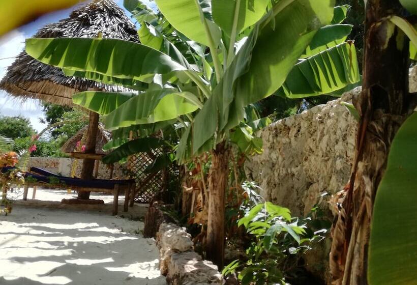 בית מלון כפרי Furaha Lodge