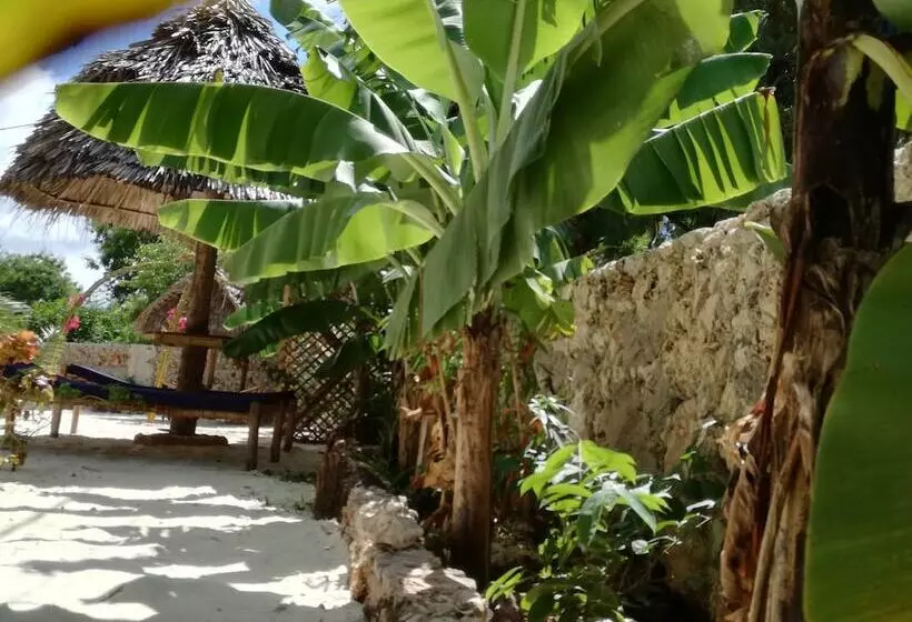 ホテル Furaha Lodge