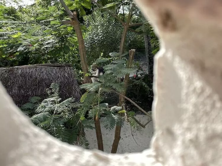 ホテル Furaha Lodge