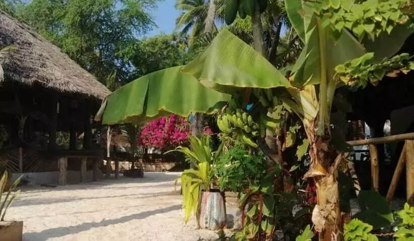 ホテル Furaha Lodge