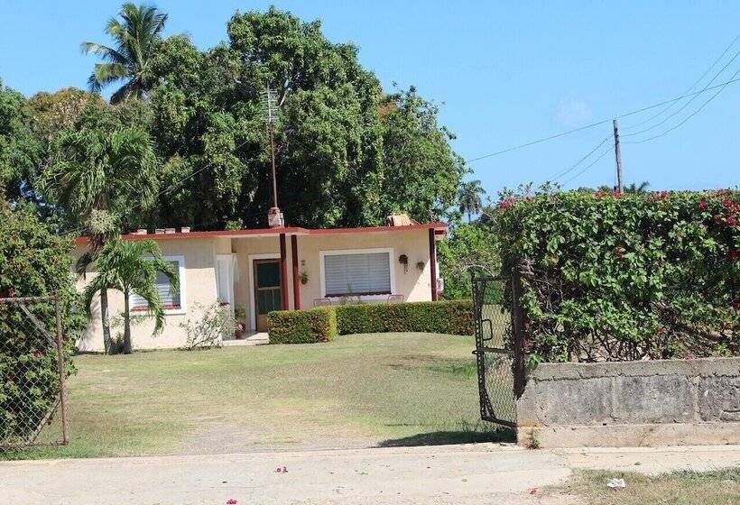 پانسیون Hostal Bugambilia