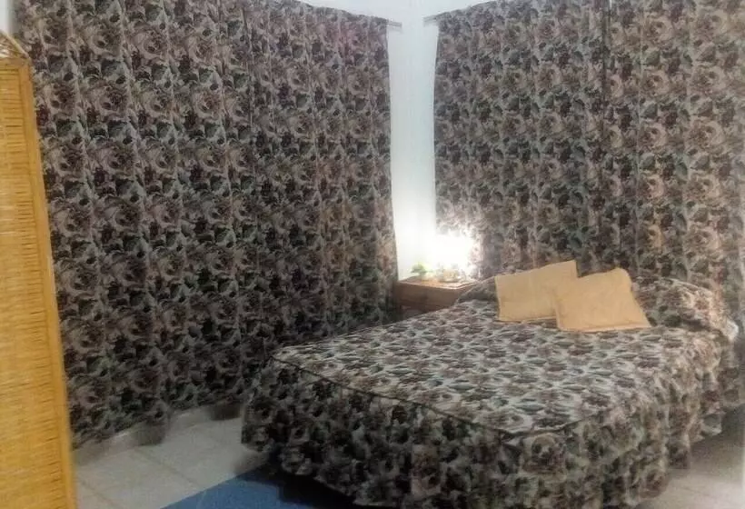 ペンション Hostal Bugambilia
