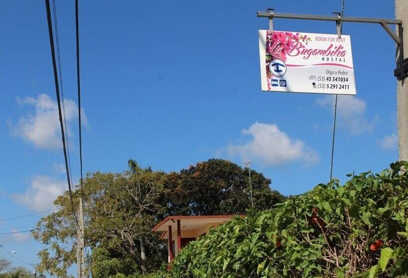 پانسیون Hostal Bugambilia