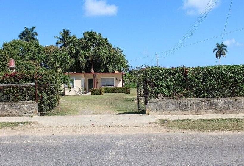 پانسیون Hostal Bugambilia