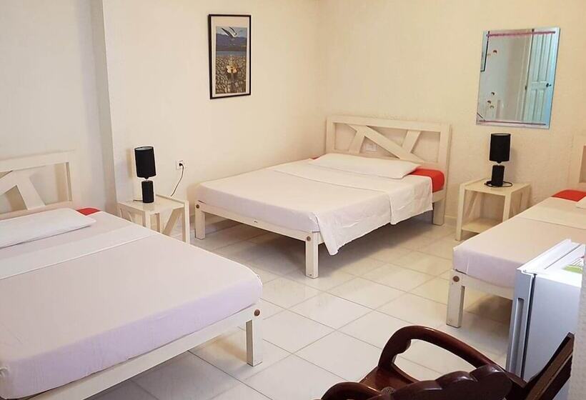 پانسیون Hostal Tito Y Vicky Trinidad