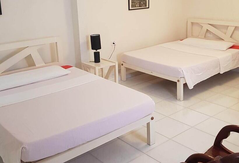 پانسیون Hostal Tito Y Vicky Trinidad