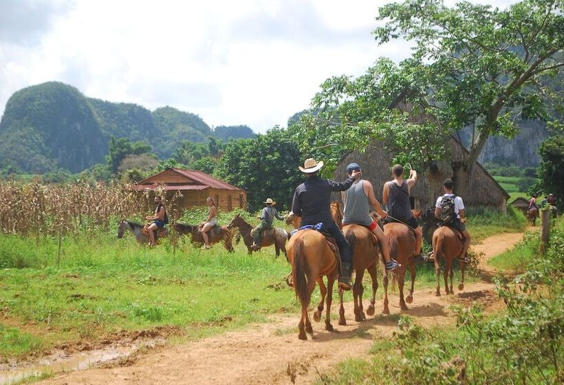 Hostal Dayana Y Frank