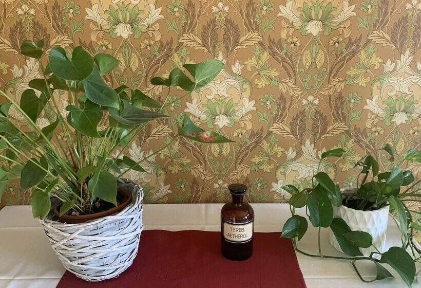 Bed and Breakfast Wanhan Apteekin Majatalo