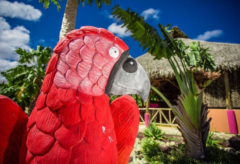 Buena Onda Beach Resort