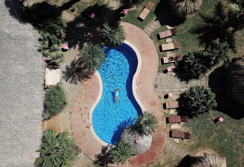 Buena Onda Beach Resort