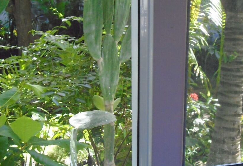 هتل Marbella Eco Lodge