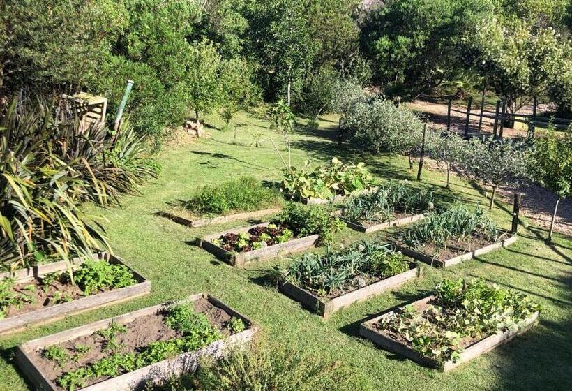 酒店 Pueblo Barrancas