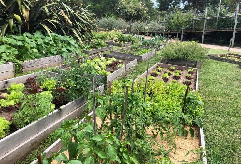 酒店 Pueblo Barrancas